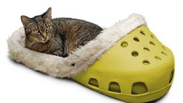 croc bed