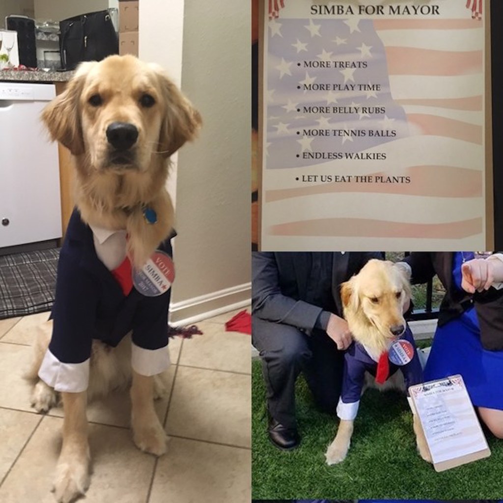 dog mayor costume