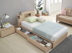 Bed With Storage Under It {No Closet Space}