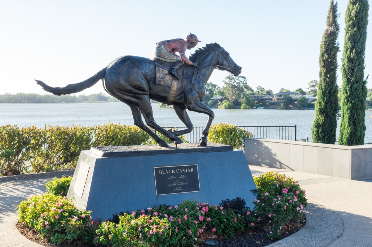 bronze statue of the racehorse Black Caviar on the banks of Lake Nagambie. The statue by Mitch Mitchell was erected in 2013