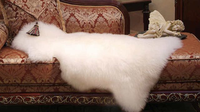 Sheepskin rug Winter-Home Must-Haves from Costco