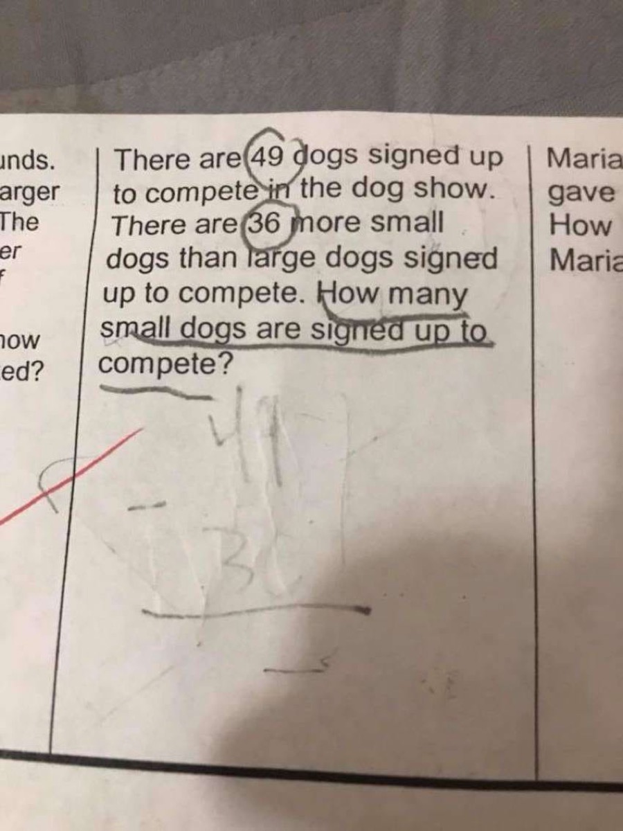 Dog Math Problem {Tricky Math Questions}