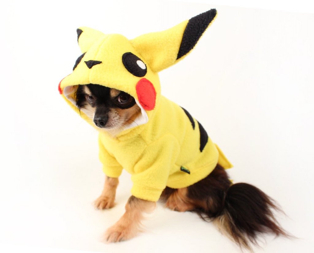 Pikachu Dog Costume adorable dog outfits