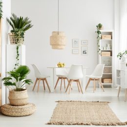 Plants in Home Affordable ways to remodel your home