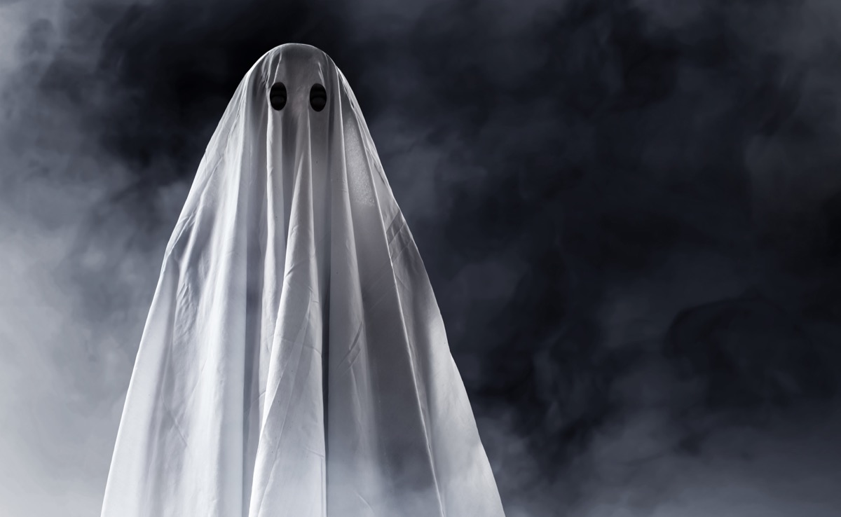 ghost in the mist - punny halloween costumes