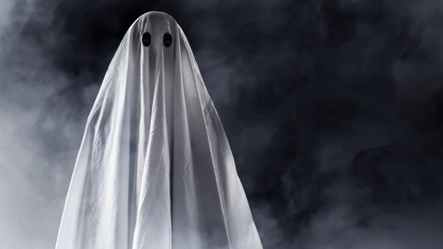 ghost in the mist - punny halloween costumes