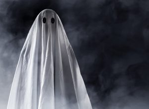 ghost in the mist - punny halloween costumes