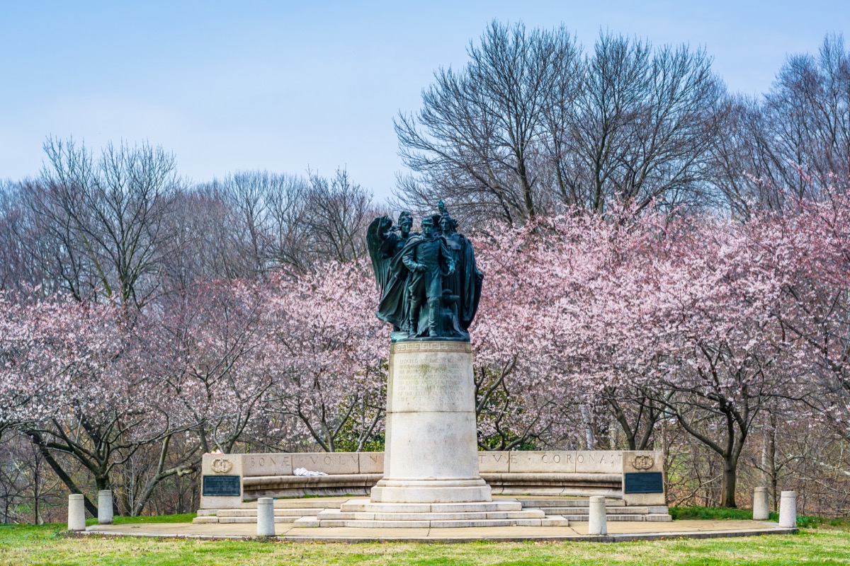 Cherry blossoms and statue at Wyman Park, in Charles Village, Baltimore, Maryland.