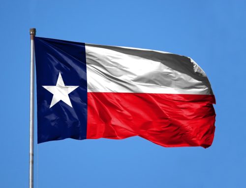 National flag State of Texas on a flagpole