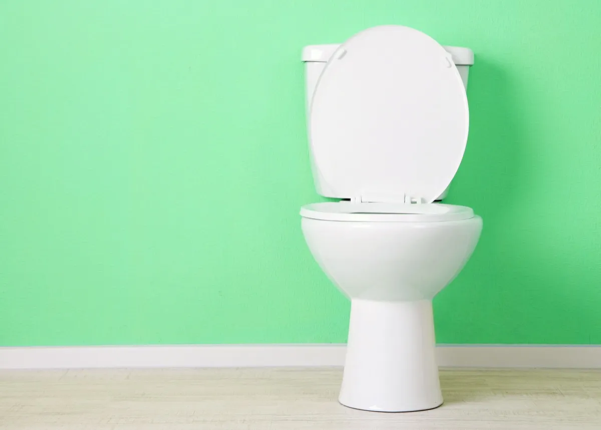 toilet against a sea green wall, home problems