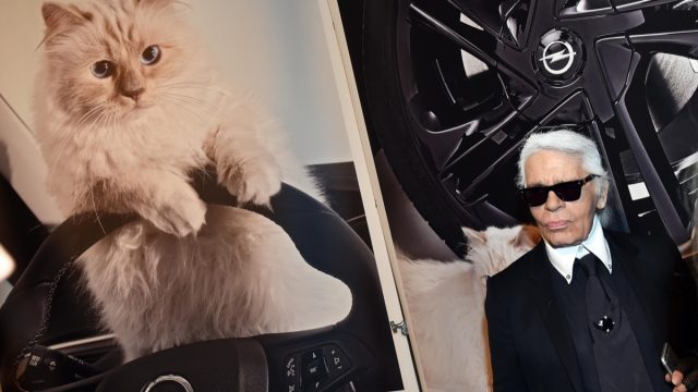 Karl Lagerfeld with a poster of his cat