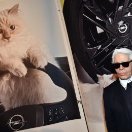 Karl Lagerfeld with a poster of his cat