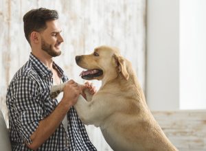 Dog and owner funny pet stories