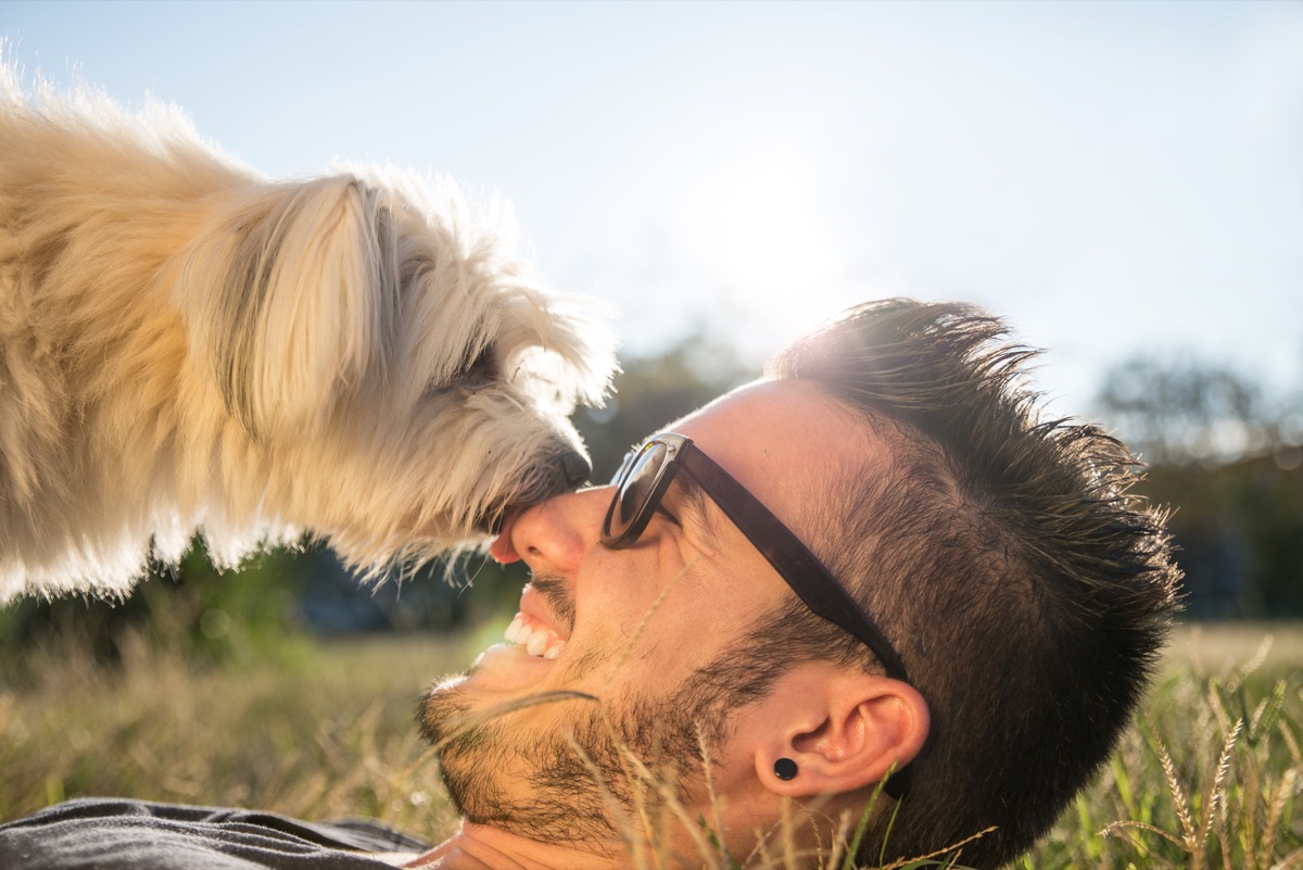 dog kissing man on nose while laying in the grass