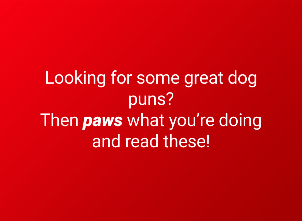 40 Dog Puns To Make You Howl With Laughter — Best Life