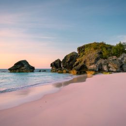 horse shoe bay pink sand beach in bermuda