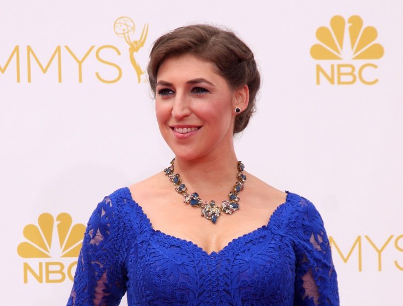 vegan celebrities - LOS ANGELES - AUG 25: Mayim Bialik at the 2014 Primetime Emmy Awards - Arrivals at Nokia at LA Live on August 25, 2014 in Los Angeles, CA - Image