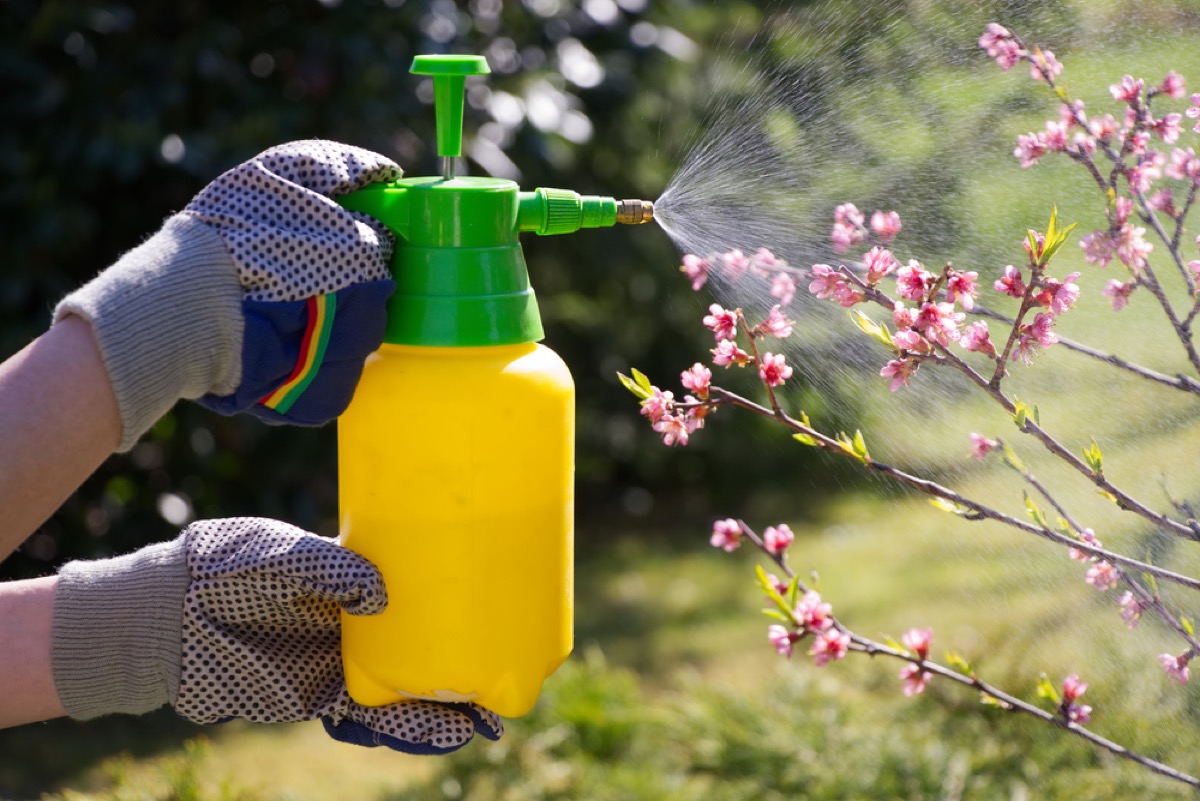 man spraying pesticide help the earth
