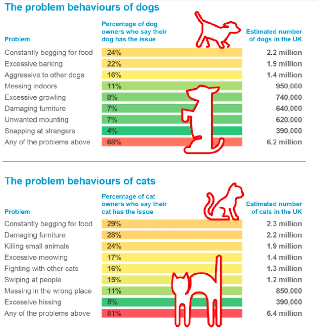 pet owner survey