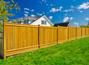 privacy fencing, backyard dangers