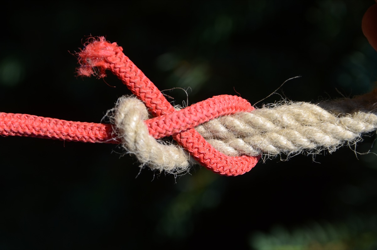 sheet bend knot with two ropes