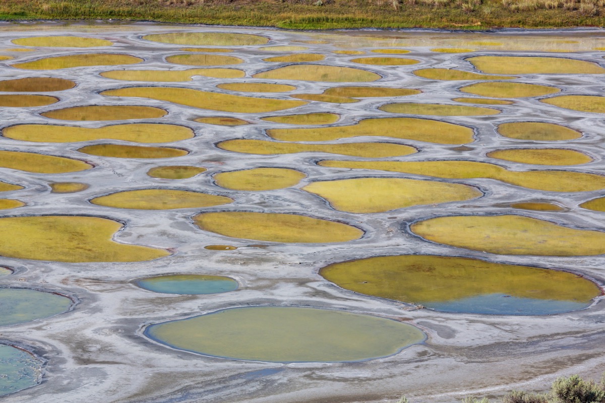 the spotted lake in canada, rare events