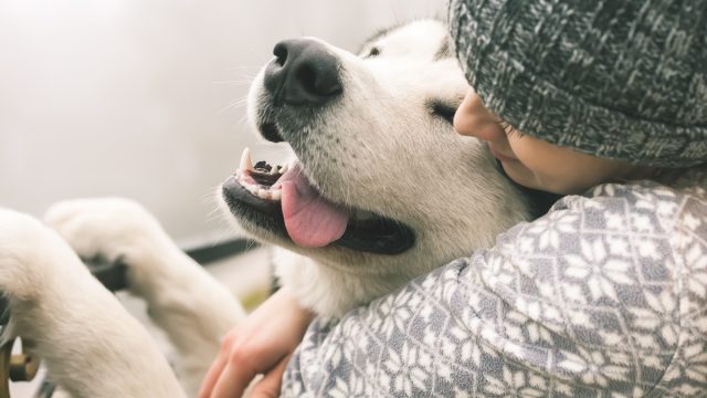 woman squeezing happy dog