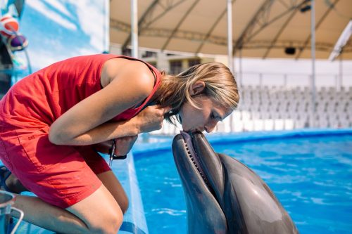 woman kissing a dolphin on the snout