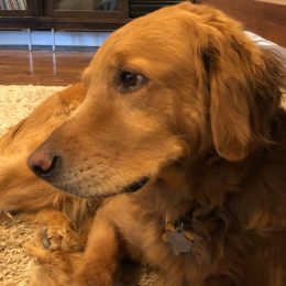 dog named Hank saves family from house fire