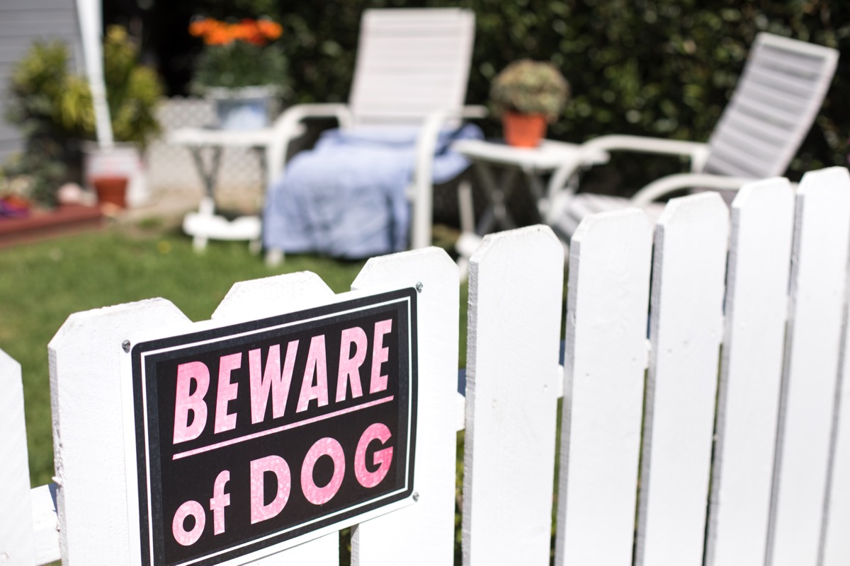 beware of dog sign on white picket fence