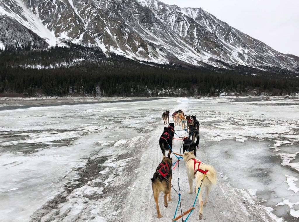 blair braverman crosses Iditarod finish line in Nome, Alaska.