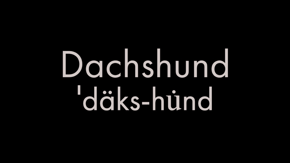 How to pronounce dachshund