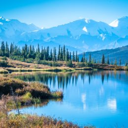 denali national park with mountain background Alaska