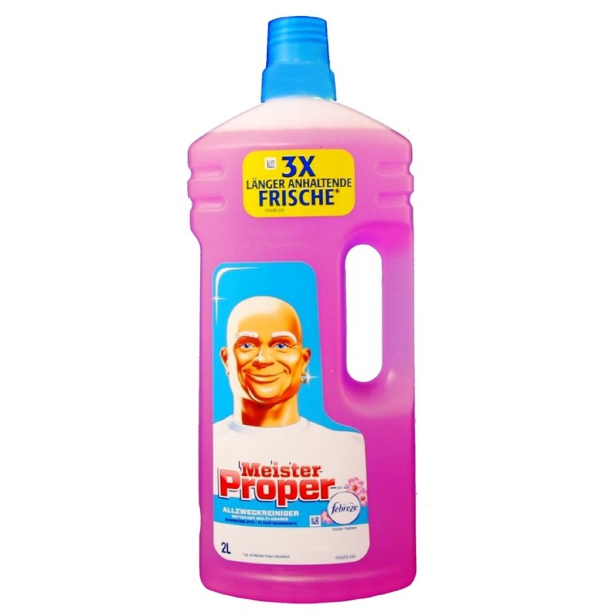 German Mr. Clean Product {Brands with Different Names Abroad} 