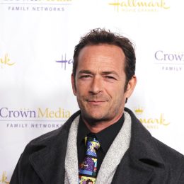 Luke Perry at the Hallmark Channel Winter TCA Press Gala in 2013