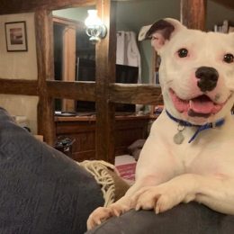 snoop the dog finds his furever home