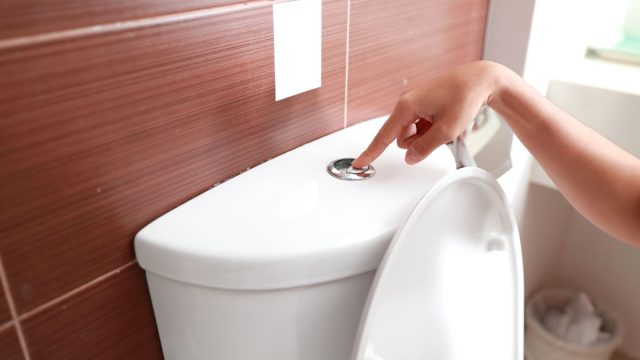 Woman flushing toilet button