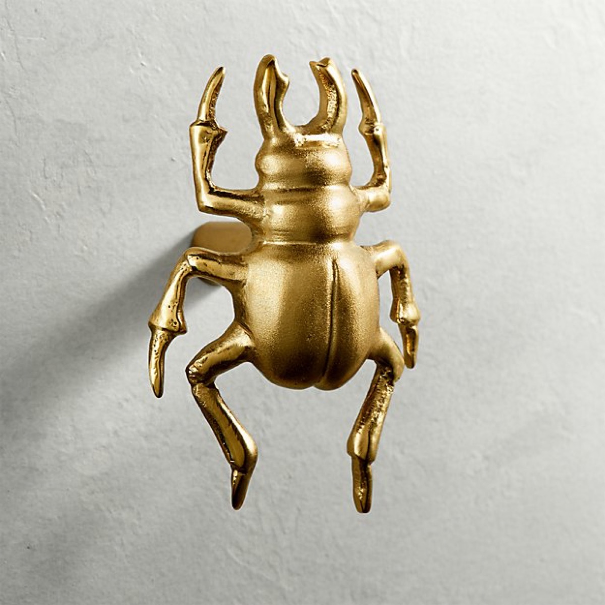 beetle brass knob cheap home upgrades