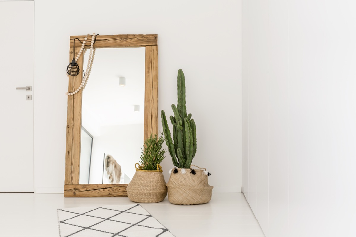 oversized mirror with cacti in front of it in white modern home