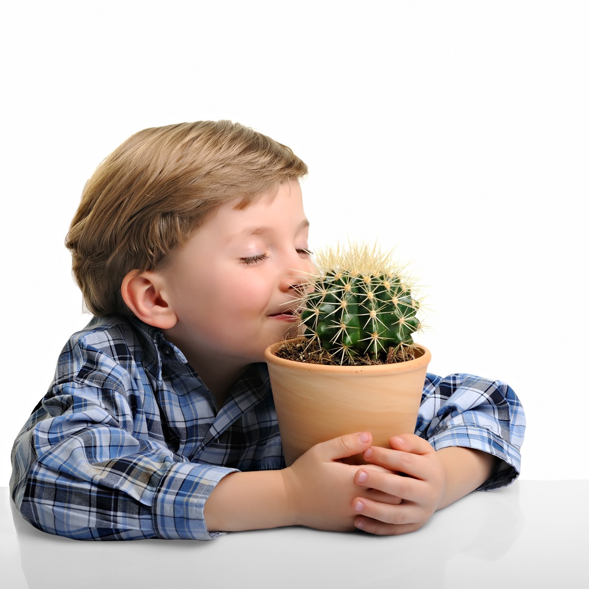 Little Boy Hugging His Cactus Funny Stock Photos