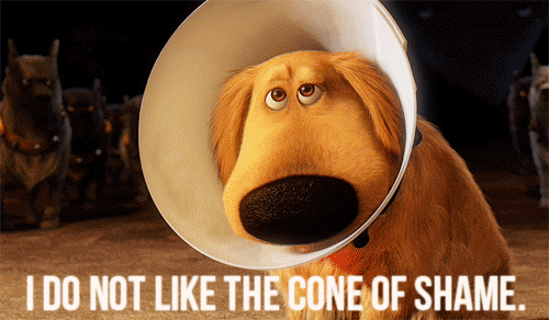 Pixar "Up" movie Cone of Shame gif