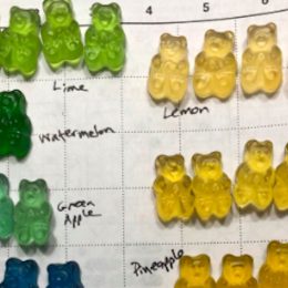 scott barolo's gummi bear experiment on colors and flavors goes viral