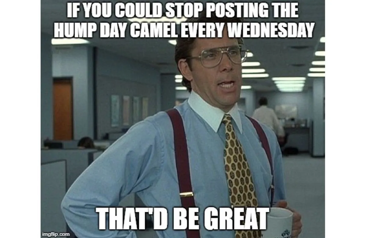 17 Hilarious Hump Day Memes To Help You Get to the Weekend — Best Life