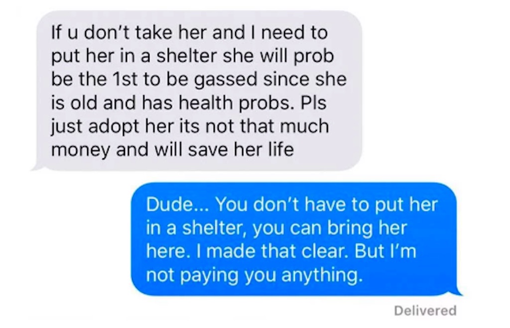 Horrible woman demands money for taking her sick dog.