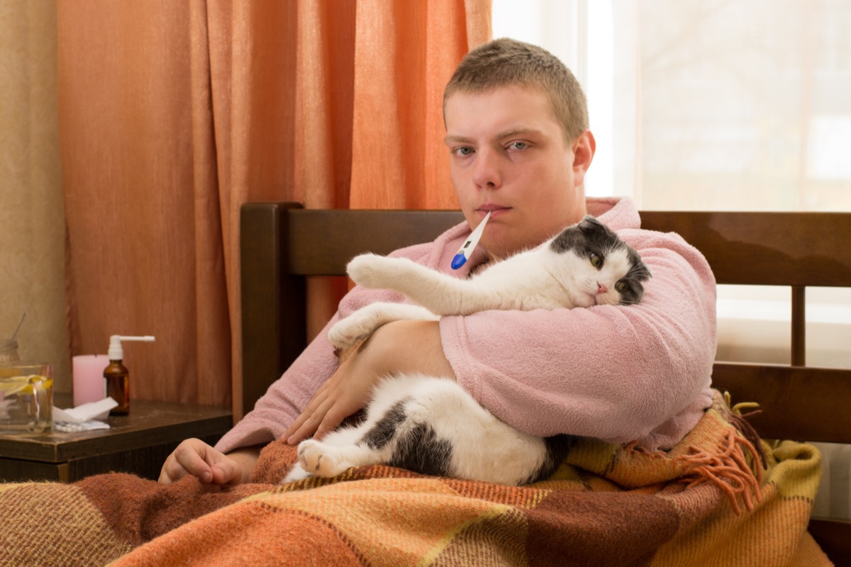 Man Sick in Bed With His Cat Funny Stock Photos