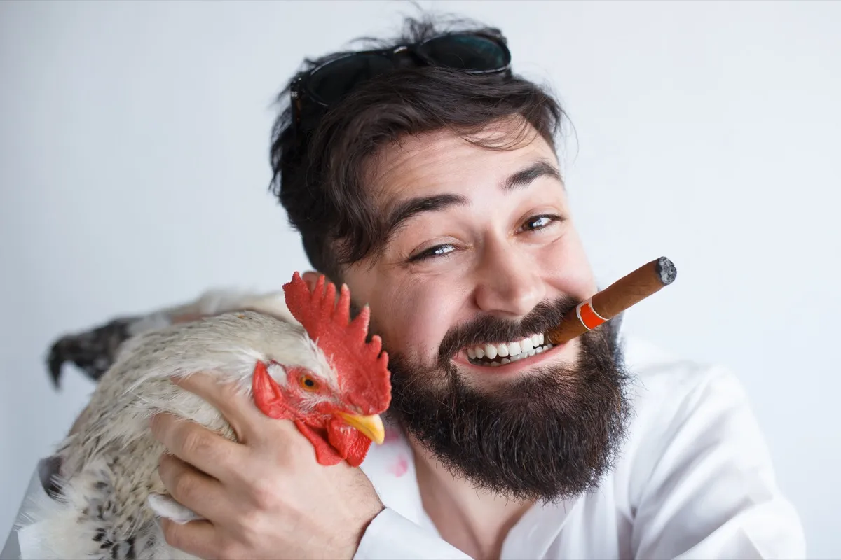 Weird Photo of a Man Hugging a Chicken Funny Stock Photos