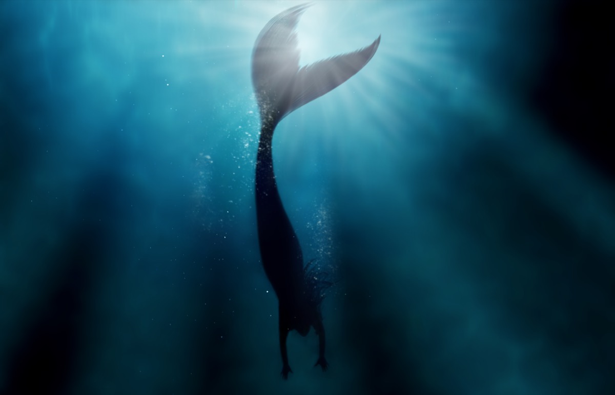 A silhouette shot of a mermaid swimming in solitude in the deep blue sea