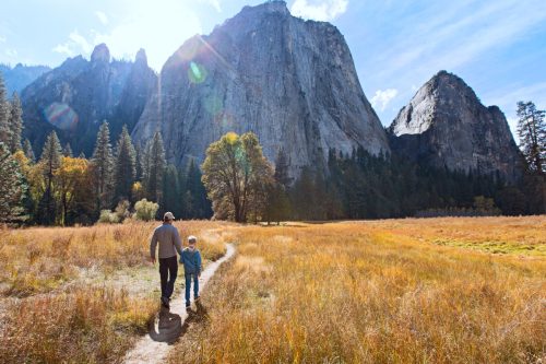 back view of active family of two, father and son, enjoying valley and mountain view in yosemite national park, california, active family vacation concept (back view of active family of two, father and son, enjoying valley and mountain view in yosemite, earth day charities