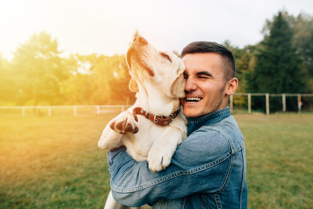 study finds dog owners are happier than cat owner things you never knew dogs could do