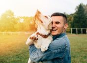 study finds dog owners are happier than cat owner